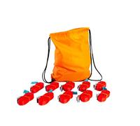 Dolezych - Correas de amarre (1 pieza, 10 unidades, 25 mm, 2,00 m de largo, 250 daN, fuerza de tracción, en Dolezych-Premium-Gymsac)