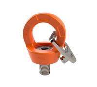 Dolezych Tornillo anular profesional con ojo DLR, capacidad de carga 1500 kg, rosca M16 x 24 mm