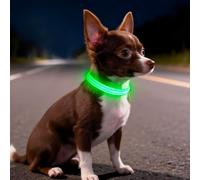 Dolitego Collares de perro iluminados - Collar de perro LED recargable, collar reflectante para cachorros, collar de gato brillante, luces de perro de alta visibilidad para perros pequeños y gatos