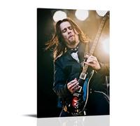 DOLNJUH Myles Kennedy Amazing Singer Wonderful Music Album Cover Póster Arte de Pared Pintura Decorativa Dormitorio Póster 40 x 60 cm Estilo Marco