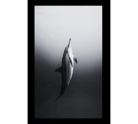 Dolphin - Animals Of The World: Animals grid notebook for children, teenagers and adults for drawing, counting and writing (black and white cover, 110 pages, grid, 6x9), (Animals of the Word)