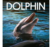 Dolphin Calendar 2027: Ocean Swims and Gentle Fins