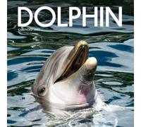 Dolphin Calendar 2027: Ocean Swims and Gentle Fins