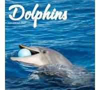 Dolphin Calendar 2027: Ocean Wildlife and Blue Waters