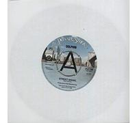 Dolphin - Street Angel
