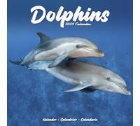 Dolphins Calendar 2025 Square Animal Wall Calendar - 16 Month