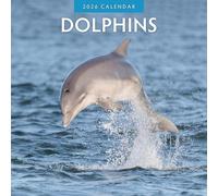 Dolphins - Calendario de pared cuadrado 2026 Red Robin Publishing