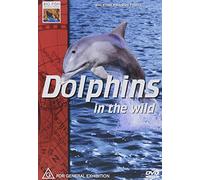 Dolphins in the Wild [Alemania] [DVD]
