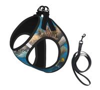 Dolphins - Juego de arnés con correa para perro con estampado de tortuga marina, tiburón, pulpo, arrecife de coral, chaleco acolchado grueso para perros extra pequeños/pequeños y medianos