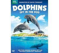 Dolphins: Spy In The Pod [Edizione: Stati Uniti] [Italia] [DVD]