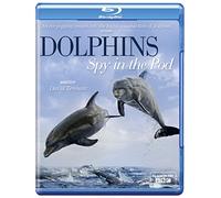 Dolphins Spy in the Pod [Reino Unido] [Blu-ray]