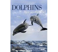 Dolphins Spy in the Pod [Reino Unido] [DVD]