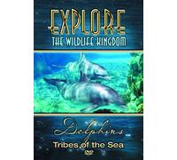 Dolphins: Tribes of the Sea [USA] [DVD]
