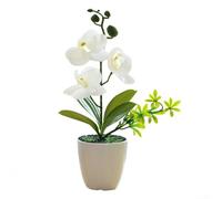 Dolvitrny Bonsái artificial de orquídea Phalaenopsis de 26 cm de altura con 7,5 cm de diámetro, maceta decorativa para el hogar, oficina, boda, fiesta, restaurante, decoración de jardín (blanco)