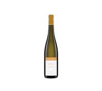Domaine de Bellivière Les Rosiers Sec 2021
