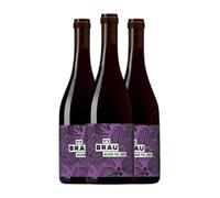 Domaine de Brau Nº 6 Aude to Joy Syrah Joven 75 cl Vino tinto (Caja de 3 Botellas de 75 cl)