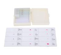 Domary 25 Portaobjetos Educativos para Microscopio de Animales Hechos de Vidrio Transparente, Muestras para Biología y Medicina, Uso en el Aula