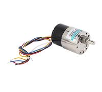 Domary Motor sin Escobillas de Alto Rendimiento DC12V con Velocidad Ajustable para Diversas Industrias Motor de Bobina Cobre 10W (100 rpm/min)