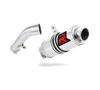 DOMINATOR Silenciador Escape GP1 compatible con R1200R 2006-2009