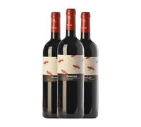 Domini de la Cartoixa Formiga de Vellut Priorat Joven 75 cl Vino tinto (Caja de 3 Botellas de 75 cl)