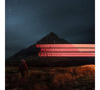 Dominic Fike What Could Possibly Go Wrong (CD) Album (Importación USA)