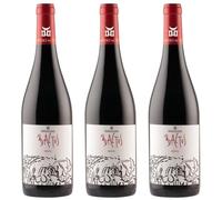 Dominio de Tares Baltos Vino Tinto de España con gran expresión frutal, taninos suaves y equilibrio ideal para carnes, pastas y quesos curados| 3 botellas