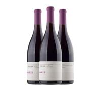 Dominio do Bibei Refugallo Tinto Ribeira Sacra 75 cl Vino tinto (Caja de 3 Botellas de 75 cl)