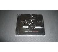 Dominique Comont - Alter Iguane