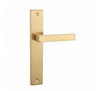 domino Mango Ciego Drückergarnitur Garnitur de Placa Larga Türklinke para Puerta de Habitación, Puerta de Oficina, Puerta de Sótano y Puerta Interior en Forma de L, Herrajes de Aluminio Oro