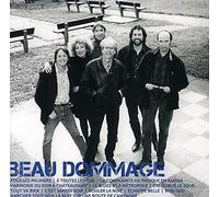 Dommage Beau - Icon