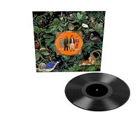Don Broco - Amazing Things (Black) [Vinilo]