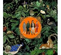 Don Broco - Amazing Things (LP)