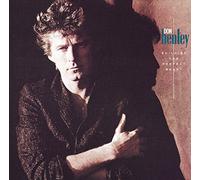 Don Henley - Building The Perfect Beast