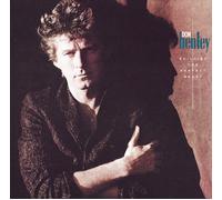 Don Henley Building The Perfect Beast (CD) (Importación USA)