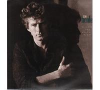 DON HENLEY - building the perfect beast LP [Vinilo]