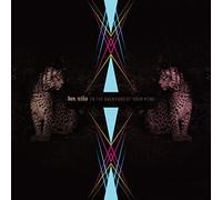 Don Nino - In the Backyard of Your Mind [Vinilo]