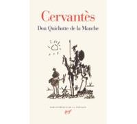don quichotte de la manche