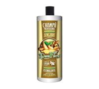 Dona Flora Champú Estimulante Jengibre 1000ml