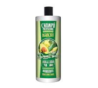 Dona Flora - Champú Hidratante de Aguacate & Argán - Nutrición y Suavidad - Revitaliza Cabello Seco y Dañado - Hidratación Intensa y Duradera - Brillo Natural - 1000 ml