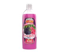 Dona Flora - Gel de Ducha Frambuesa y Mora - 750ml - Efecto Nutritivo y Suavidad Frutal - Limpieza Hidratante para Todo Tipo de Piel