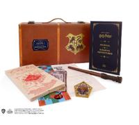 Donald Lemke Harry Potter: Hogwarts Trun (Mixed Media Product) (Importación USA)
