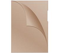 DONAU 1785095-12 - Fundas para documentos (tamaño A4, 100 unidades, 120 micras, color naranja, polipropileno, 120 micras, laterales, transparentes), transparente