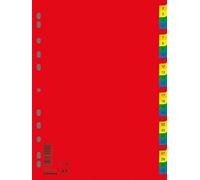 DONAU 7736095PL-99 1-31 - Separadores de plástico (DIN A4, 230 x 297 mm, 31 piezas, 1 separadores, 11 orificios, para la organización de carpetas en la oficina)
