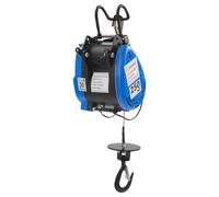 Donened - Elevador eléctrico, 1500 W, cabrestante eléctrico, polipasto de cadena con mando a distancia manual e inalámbrico, hasta 250 kg, altura de elevación 29 m, velocidad de elevación de 19 m/min