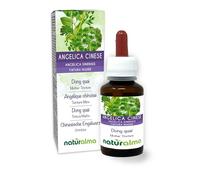 Dong quai (Angelica sinensis) raíces Tintura Madre sin alcohol Naturalma - Extracto líquido gotas 60 ml - Complemento alimenticio - Vegano