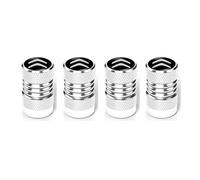 DONGDONG 4 Piezas Tapones de Válvula de Coche para Citroen C5 X 2021-, Tapas Antipolvo para Ruedas de Coche Válvulas de Neumáticos Coche,Silver