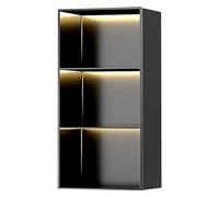 DONGGANSHI Nicho de ducha de acero inoxidable, estante de almacenamiento integrado con luces para baño, sala de estar, comedor, cocina, gabinete de almacenamiento de una sola pieza (color: negro