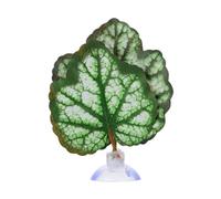 DONGKER Betta - Cama para peces, hamaca de hojas de cama Betta cómoda con ventosa para decoración de peceras