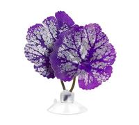 DONGKER Betta Fish Bed Hamaca simuladora de hojas Betta con ventosa para lugares de descanso Betta