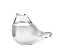 Dongzhi Predictor cristal en forma pájaro, predictor cristal en forma pájaro, cristal tormenta para predecir el clima, barómetro decorativo para cumpleaños
